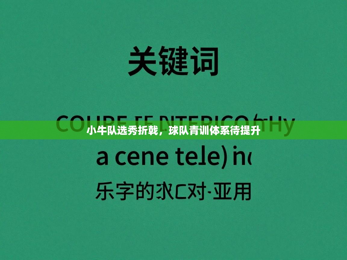 小牛队选秀折戟，球队青训体系待提升  第2张