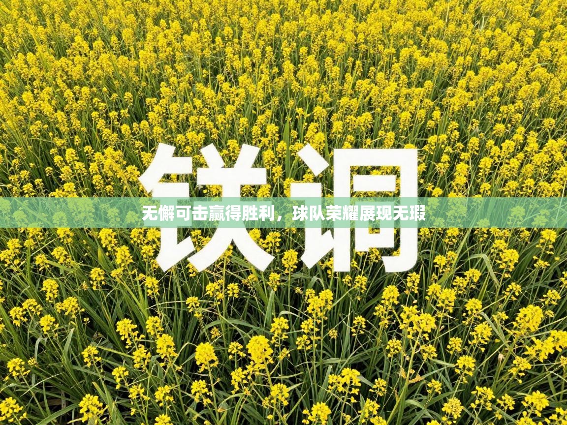 无懈可击赢得胜利，球队荣耀展现无瑕  第2张